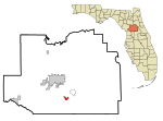 Marion County Florida Incorporated and Unincorporated areas Belleview Highlighted